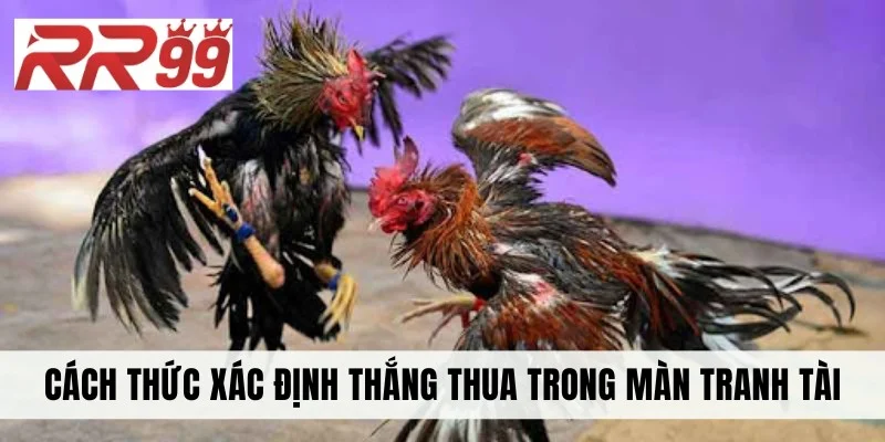 Cách thức xác định thắng thua trong màn tranh tài