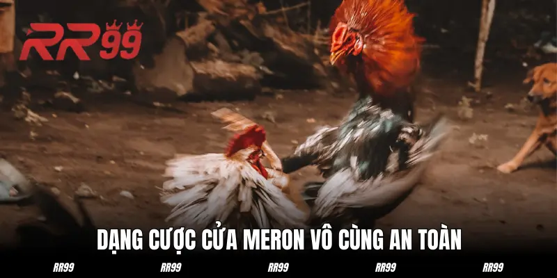 Cửa MERON là dạng kèo cược đá gà an toàn