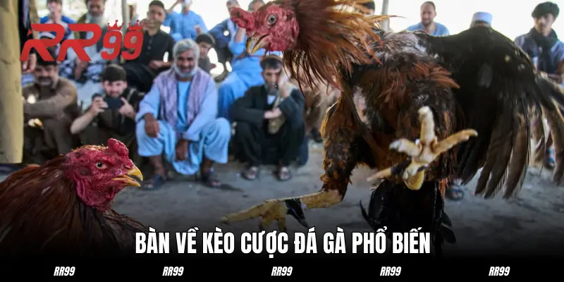 Những dạng kèo cược đá gà được nhiều người biết