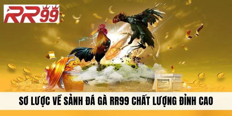 Sơ lược về sảnh đá gà RR99 chất lượng đỉnh cao