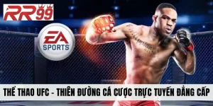 Thể Thao UFC - Thiên Đường Cá Cược Trực Tuyến Đẳng Cấp